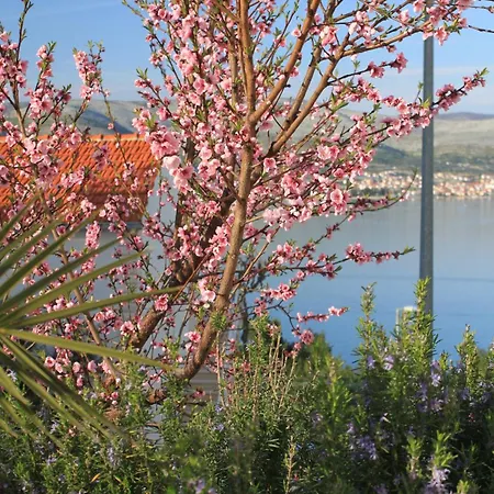 Seaside With A Swimming Pool Okrug Donji, Ciovo - 8664 * Trogir